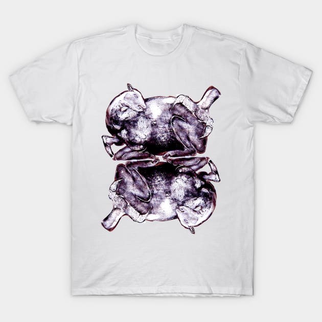 Deer and Claw Artifact T-Shirt by Munka